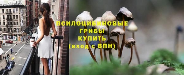 мяу мяу мука Корсаков