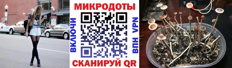 где купить наркоту  Валуйки  Псилоцибиновые грибы MAGIC MUSHROOMS 