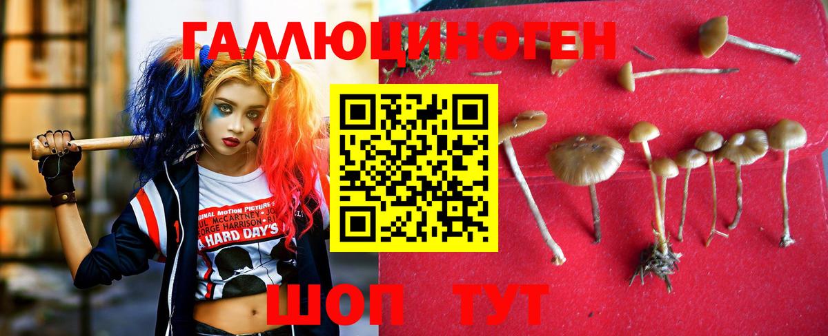 Галлюциногенные грибы мухоморы Валуйки